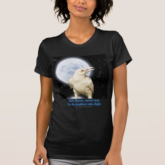 SPIRIT RAVEN, STAR EATER Series T-Shirt (Vorderseite)