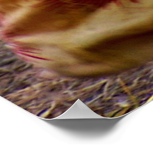 Spiritistisches Poster (Ecke)