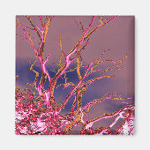 SPIRITT MAGNET (Vorne)