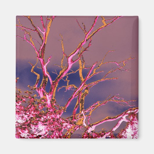 SPIRITT MAGNET (Vorne)