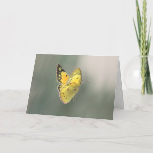 Spiritual Transition Butterfly Sympathy Karte