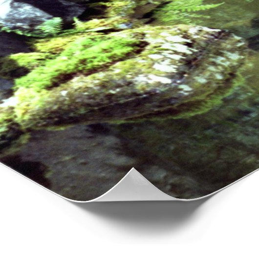 Spiritueller Teich Poster (Ecke)