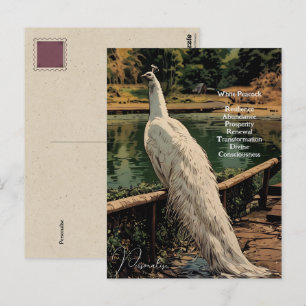 Spiritueller Weißer Pfau Vogel Inspirierender Spru Postkarte