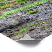 Spirituelles Kastanie Reitpferd Foto Poster (Ecke)