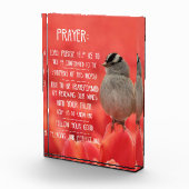 Spirituelles Reisebericht: Römer 12:2 Gebet Fotoblock (Rechts)