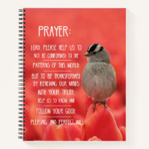 Spirituelles Reisebericht: Römer 12:2 Gebet