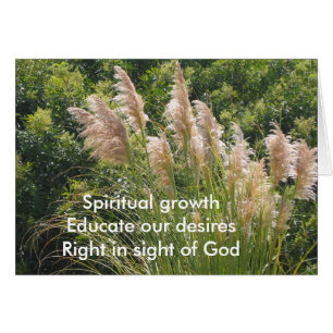 Spirituelles Wachstum Haiku