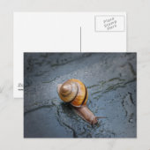 Spirituosen am Regentag Postkarte (Vorne/Hinten)