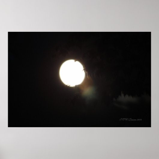 Spirituosen an einer mondbeleuchteten Nacht Poster (Vorne)