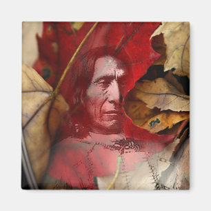 Spirituosen aus Gregory gallo Magnet