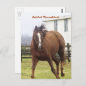 Spirituosen Postkarte (Vorne/Hinten)