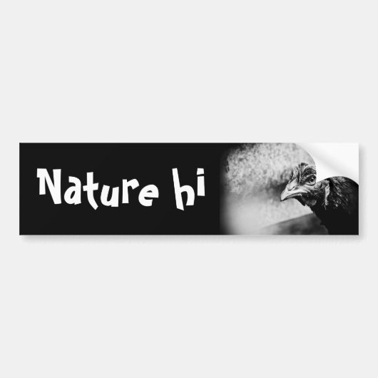 Spirituosen und Hühner Autoaufkleber (Vorne)