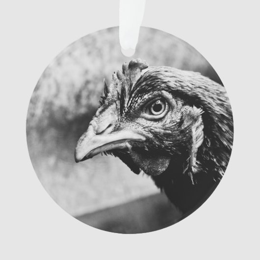 Spirituosen und Hühner Ornament (Vorderseite)