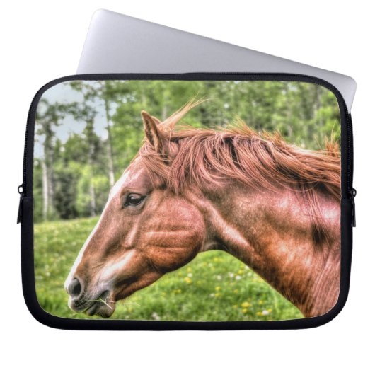 Spirituosenpferd Laptopschutzhülle (Vorderseite)