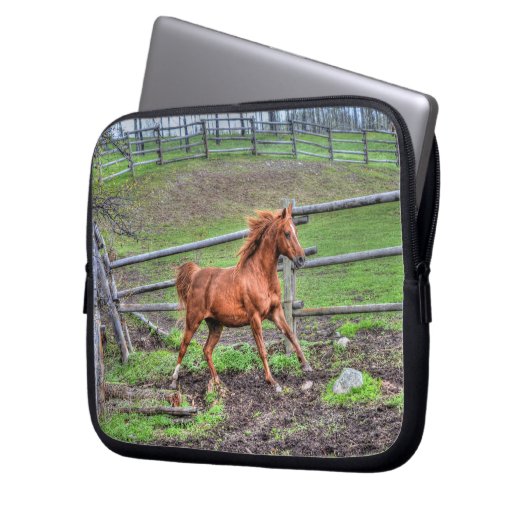 Spirituosenpony, Pferderennen auf Ranch Laptopschutzhülle (Vorderseite Links)