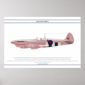 Spitfire GB 16 Sqn 2 Poster (Vorne)