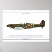 Spitfire GB 19 Sqn 1 Poster (Vorne)