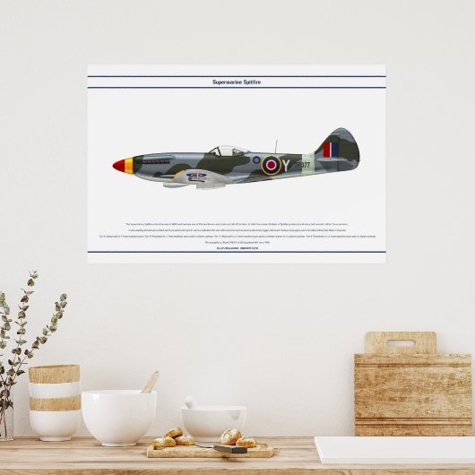 Spitfire GB 28 Sqn 1 Poster (Küche)