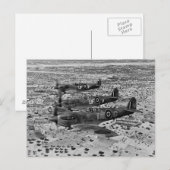 Spitfire-Jäger über Afrika, 1943 Postkarte (Vorne/Hinten)