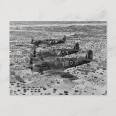 Spitfire-Kämpfer über Afrika, 1943 Postkarte (Vorderseite)