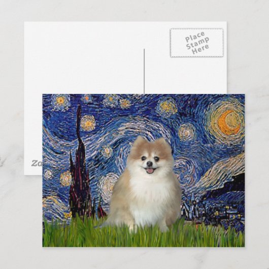 Spitz 1 - Sternennacht Postkarte (Vorne/Hinten)