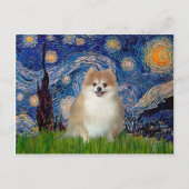 Spitz 1 - Sternennacht Postkarte (Vorderseite)