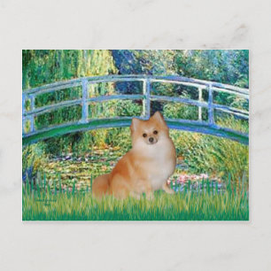 Spitz 3 - Brücke Postkarte