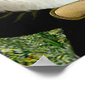 Spitz 3 - Mona Lisa Poster (Ecke)