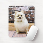 Spitz - Abby Eitelkeits-Kragen Mousepad (Mit Mouse)