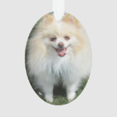 Spitz-Acryl-Verzierung Ornament (Rückseite)