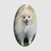 Spitz-Acryl-Verzierung Ornament (Vorderseite)