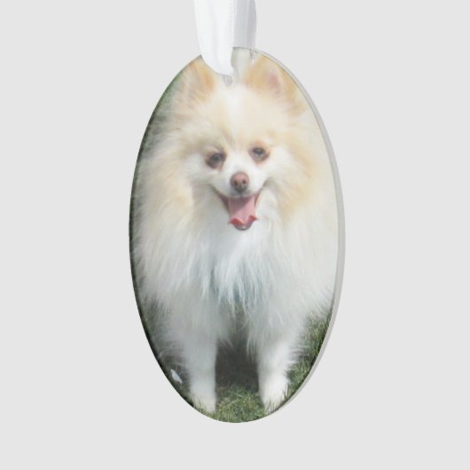 Spitz-Acryl-Verzierung Ornament (Vorderseite)