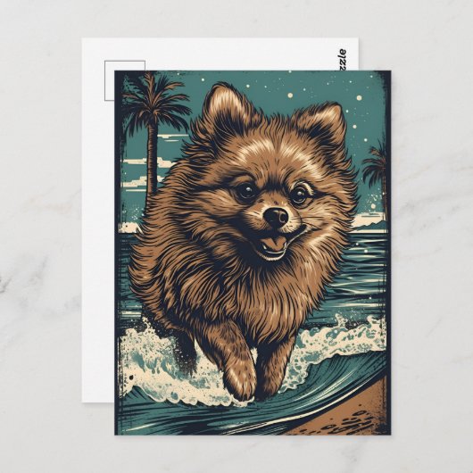 Spitz am Strand Postkarte (Vorne/Hinten)