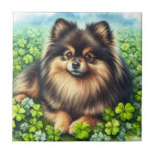 Spitz Aquarell  Kleeblatt Fliese (Vorderseite)