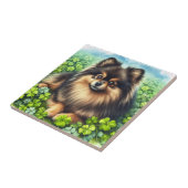 Spitz Aquarell  Kleeblatt Fliese (Seite)