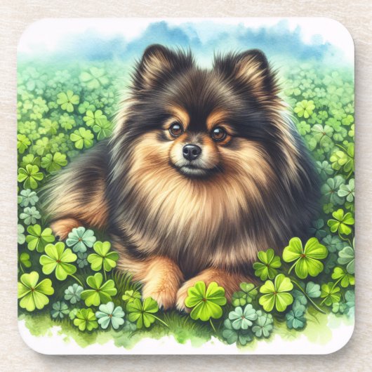 Spitz Aquarell  Kleeblatt Getränkeuntersetzer (Vorderseite)