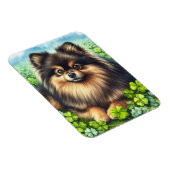 Spitz Aquarell Kleeblatt Magnet (Rechte Seite)