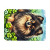 Spitz Aquarell Kleeblatt Magnet (Horizontal)