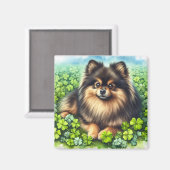 Spitz Aquarell  Kleeblatt Magnet (Vorderseite/Rückseite)