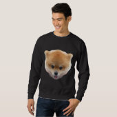 Spitz Art. 182 Sweatshirt (Vorne ganz)