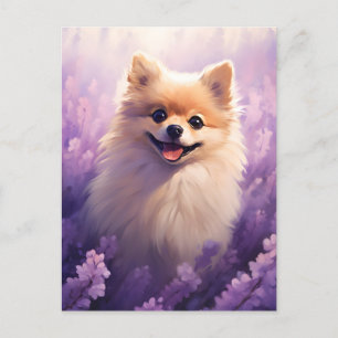 Spitz auf dem Lavendelfeld Postkarte