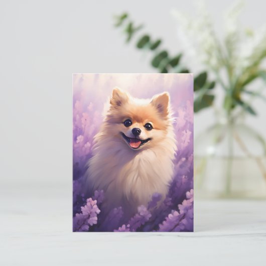 Spitz auf dem Lavendelfeld Postkarte (Stehend Vorderseite)