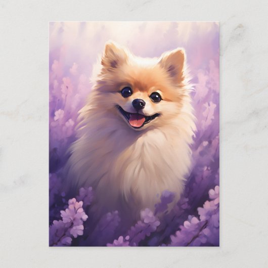 Spitz auf dem Lavendelfeld Postkarte (Vorderseite)