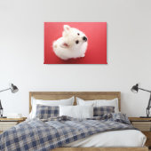 Spitz auf dem roten Teppich Leinwanddruck (Insitu (Schlafzimmer))