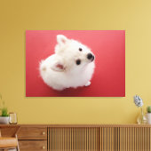 Spitz auf dem roten Teppich Leinwanddruck (Insitu (Wohnzimmer))