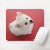 Spitz auf dem roten Teppich Mousepad (Mit Mouse)
