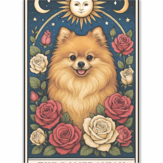 Spitz Aufkleber (Vorderseite)