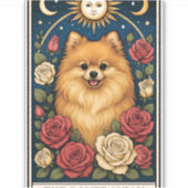 Spitz Aufkleber (Vorderseite)