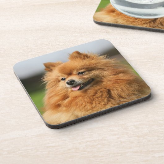 Spitz-Aufpassen Getränkeuntersetzer (Linke Seite)