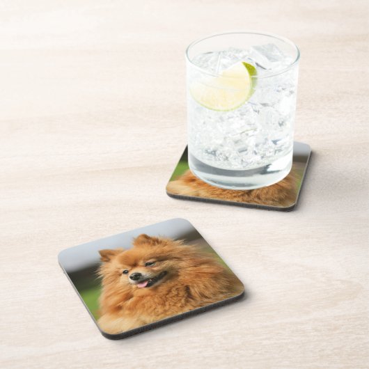 Spitz-Aufpassen Getränkeuntersetzer (Rechte Seite)